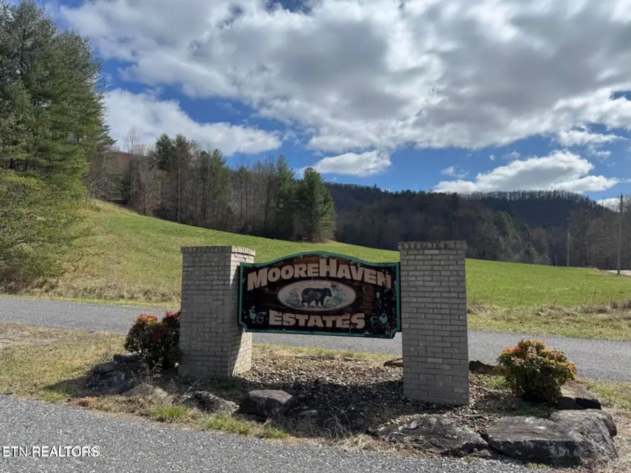 Cougar Trail Tr #18, Del Rio, TN 37727 - #2