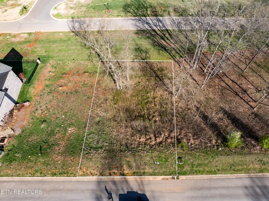 967 Black Cove Lane, Loudon, TN 37774 - #3