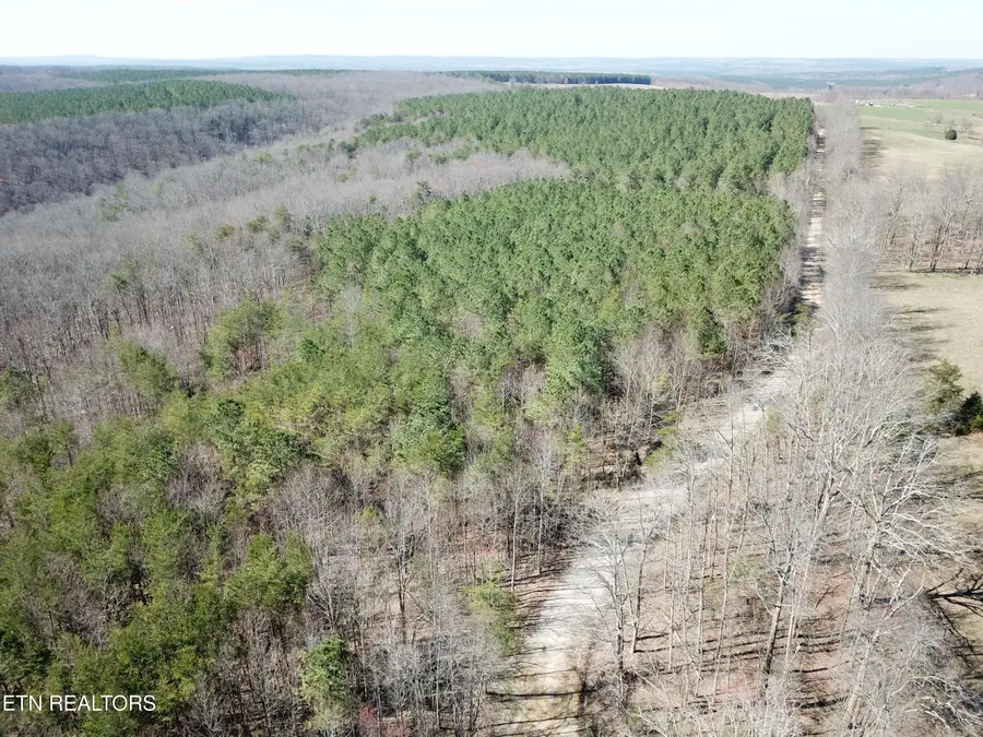 Buckridge Rd, Crossville, TN 38572 - #2