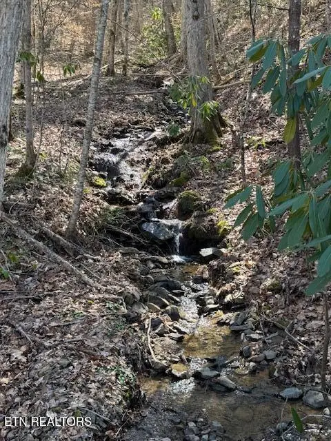 Cougar Trail Lot 17 2.08ac Tr, Del Rio, TN 37727 - #2