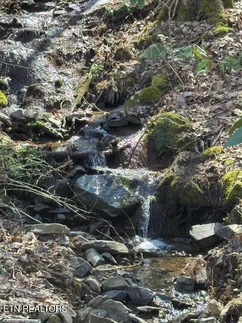 Cougar Trail Lot 17 2.08ac Tr, Del Rio, TN 37727 - #3