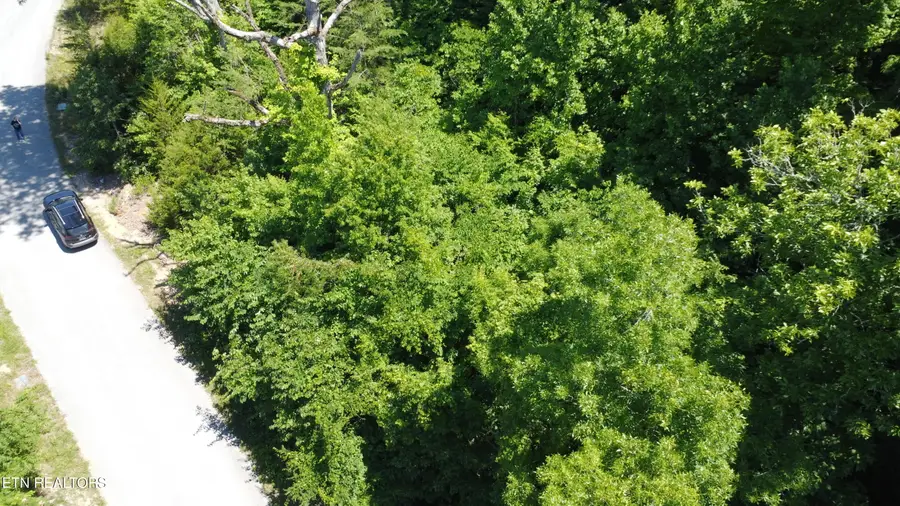 Larayne Hollow Rd #924, Sharps Chapel, TN 37866 - #3
