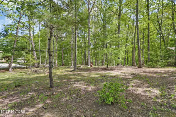 14 Ridge Crest Circle, Fairfield Glade, TN 38558