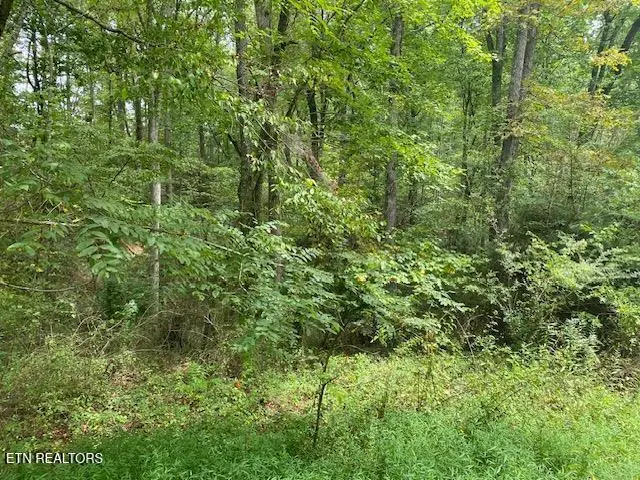 35 Ottoma Drive #Lot 35, Crossville, TN 38555 - #1