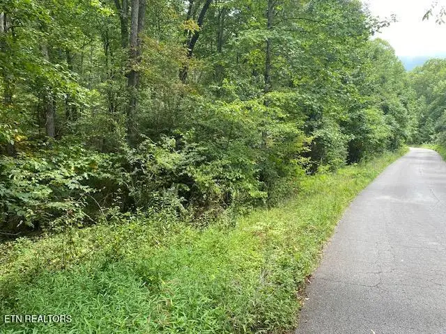 35 Ottoma Drive #Lot 35, Crossville, TN 38555 - #2