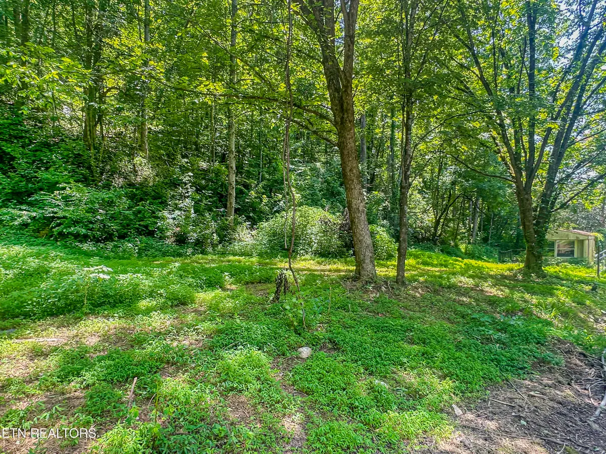 9109 Pickens Gap Rd, Knoxville, TN 37920 - #1