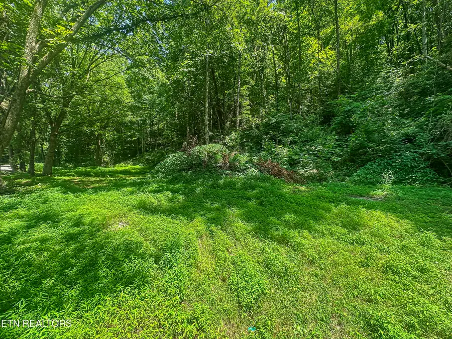 9109 Pickens Gap Rd, Knoxville, TN 37920 - #2