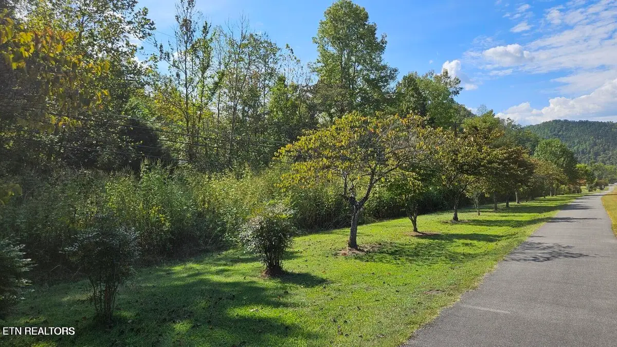 7062 E Lamar Alexander Pkwy, Townsend, TN 37882 - #1