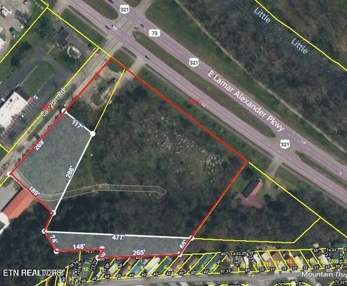 7062 E Lamar Alexander Pkwy, Townsend, TN 37882 - #2