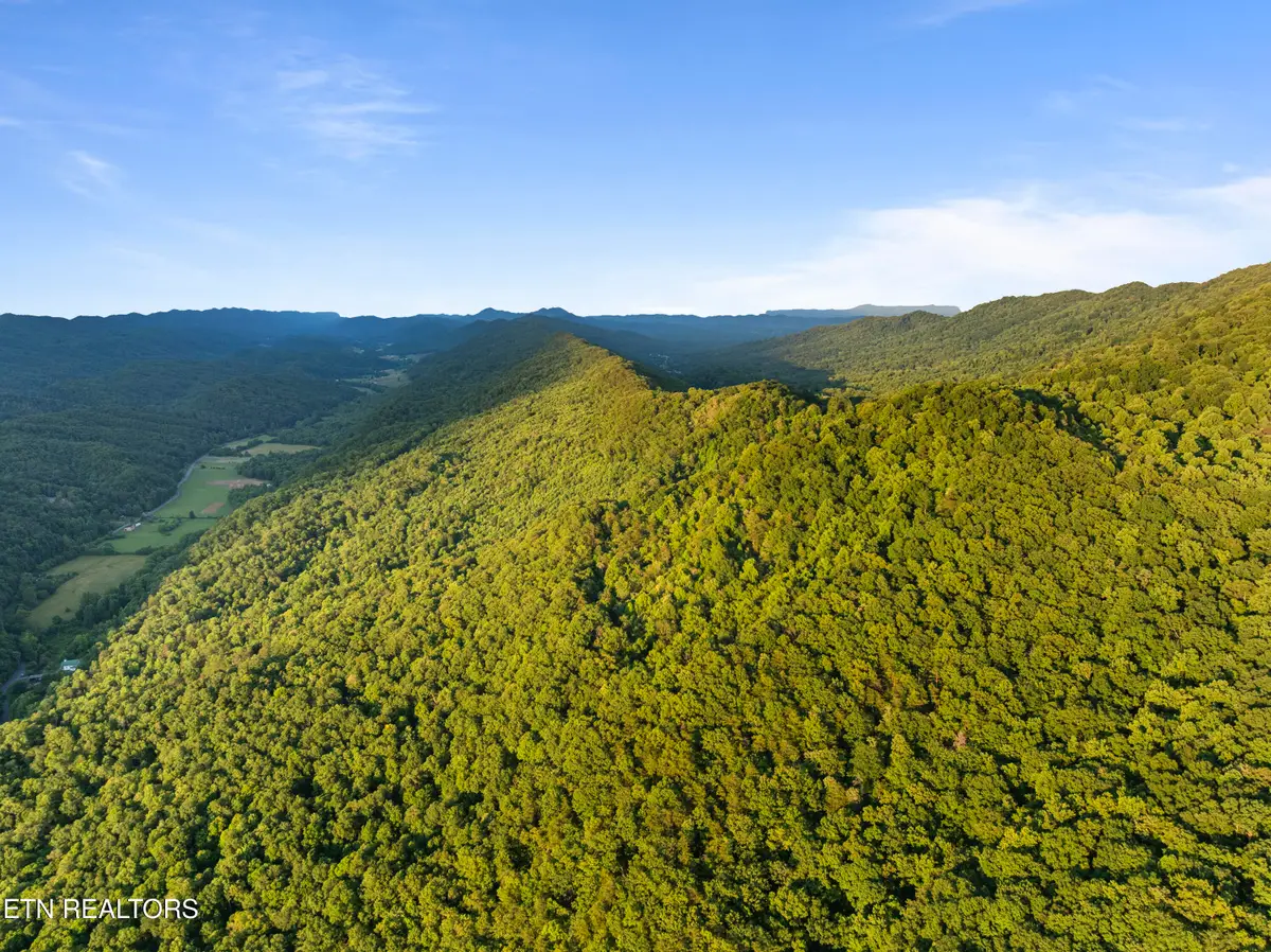 Spruce Pine (330 Acres) Rd, Mooresburg, TN 37811 - #1