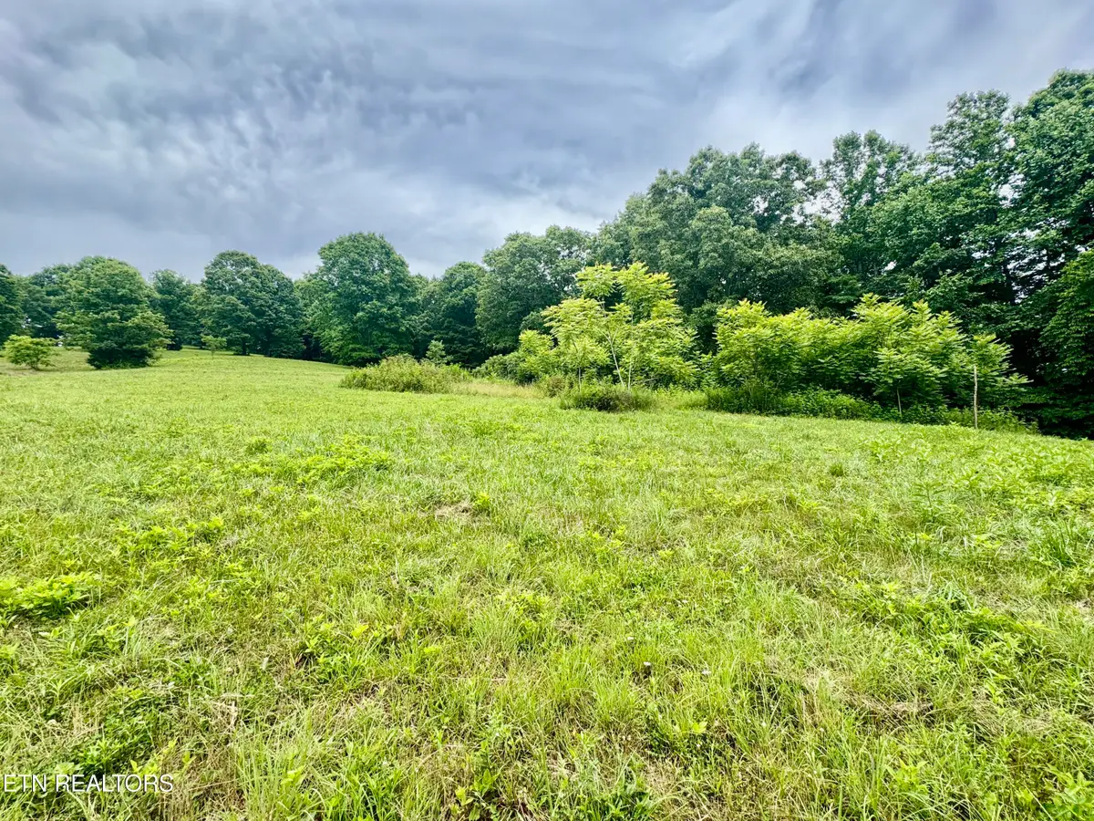 378 Johnson Hollow Rd, New Tazewell, TN 37825 - #1