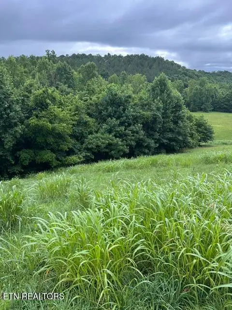 Mill Drive, Decatur, TN 37322
