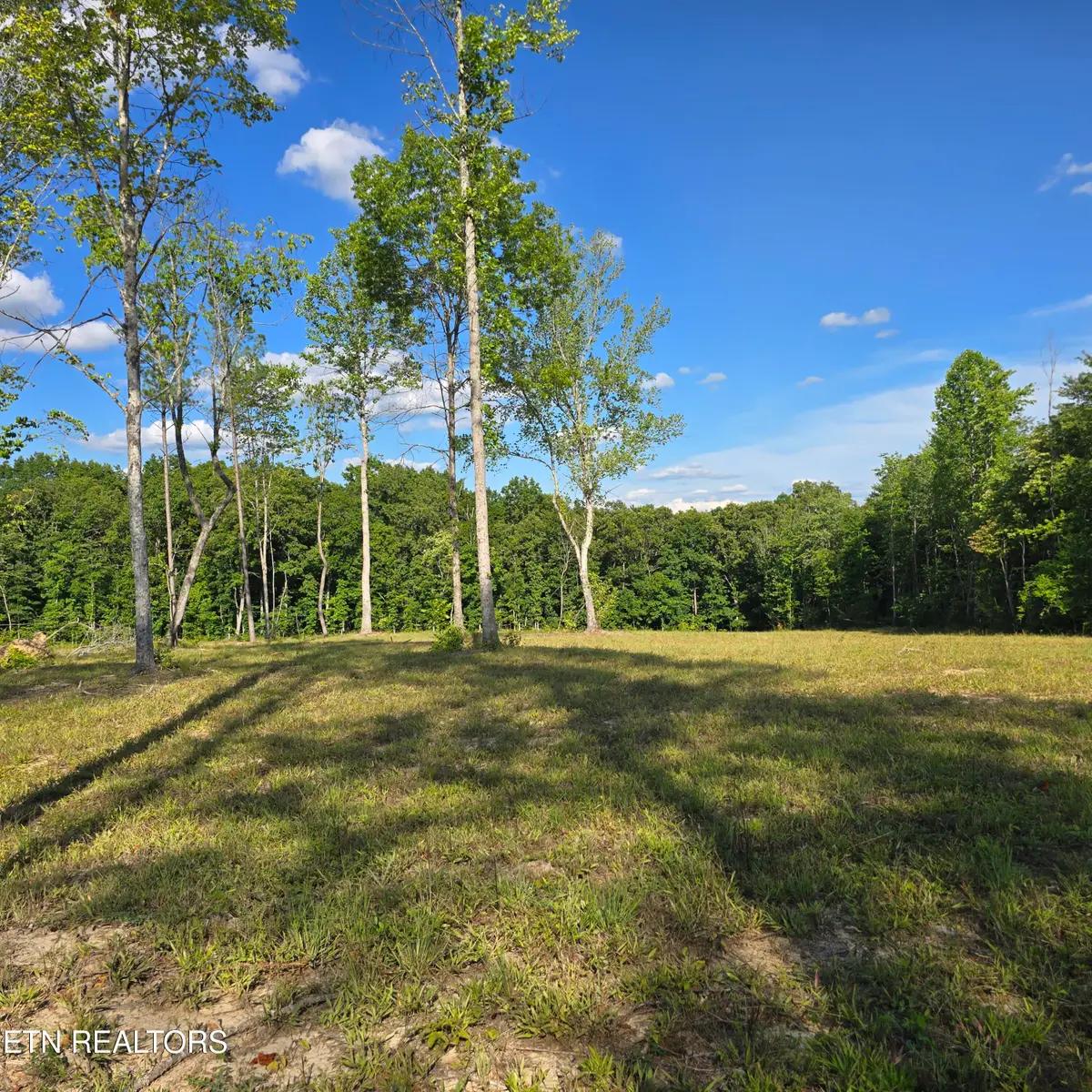 80+/- AC Red Hill Rd, Sunbright, TN 37872 - #1