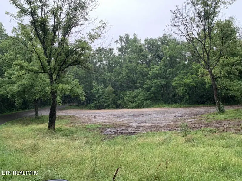 5694 Ladd Springs Road Rd, Old Fort, TN 37362 - #1