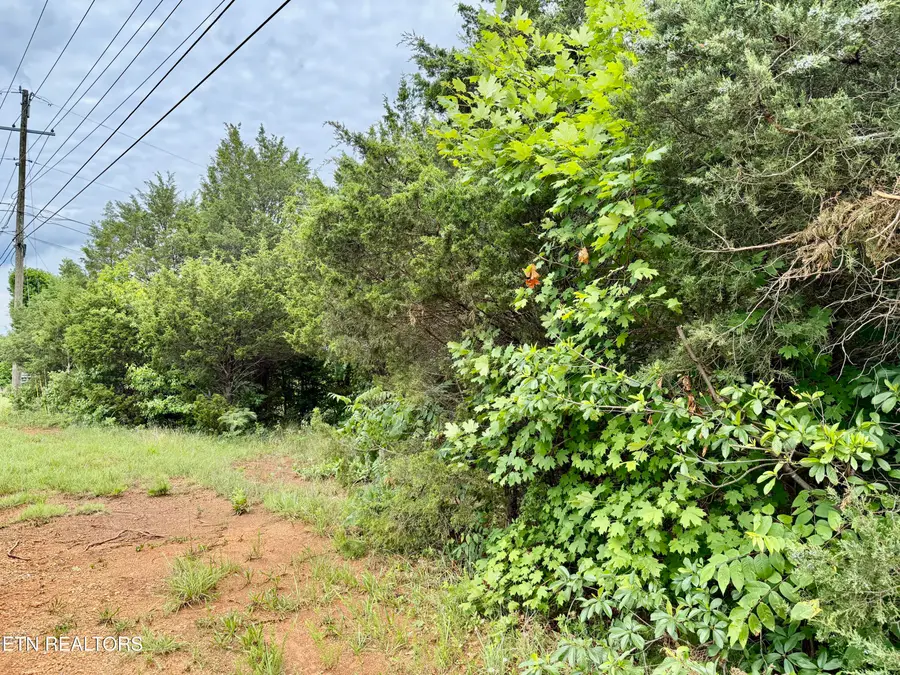 6989 W Andrew Johnson Hwy, Talbott, TN 37877 - #2