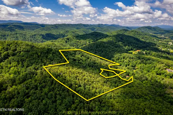 154 Poplar Road Rd, Tellico Plains, TN 37385