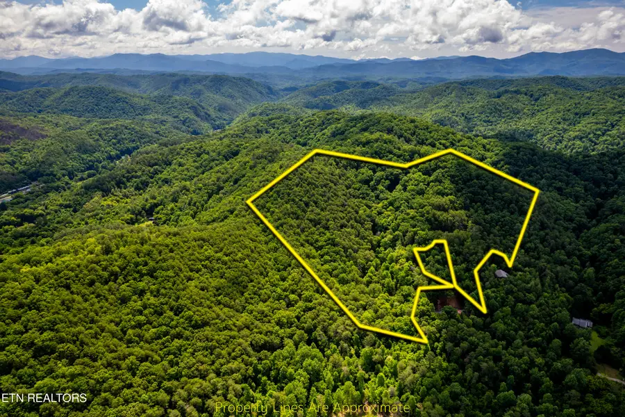 154 Poplar Road Rd, Tellico Plains, TN 37385 - #3