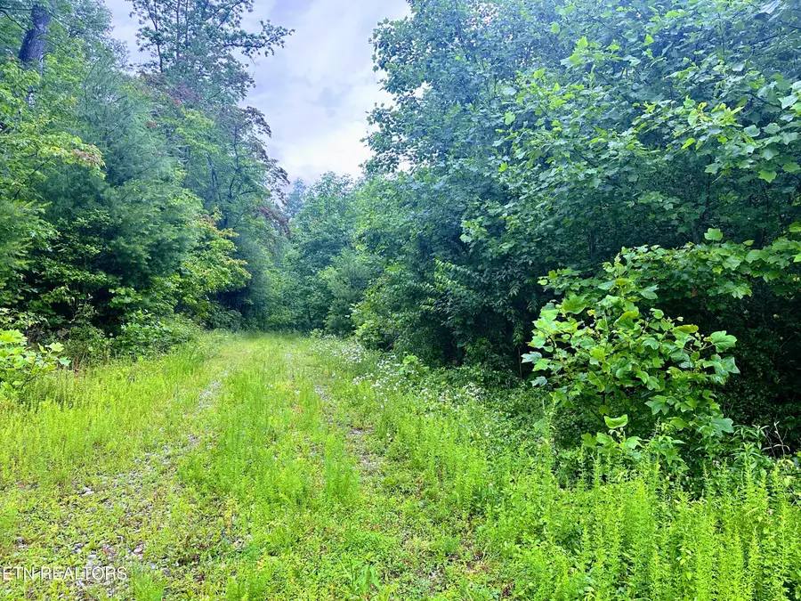 13.44 Chestnut Ridge Rd, Allardt, TN 38504 - #2