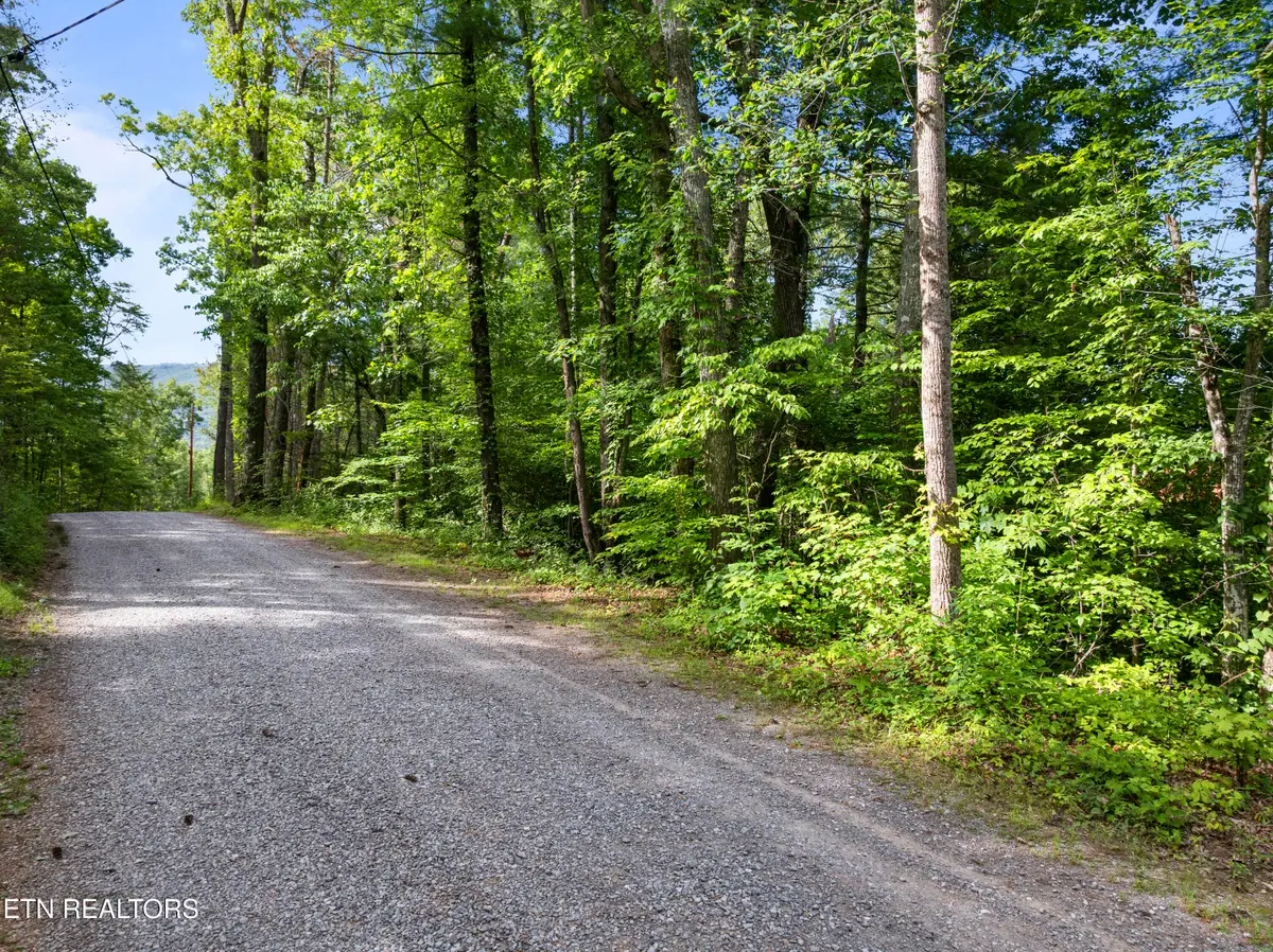 TBD Grouse Top (lot 4) Rd, Walland, TN 37886 - #1