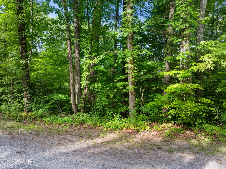 TBD Grouse Top (lot 4) Rd, Walland, TN 37886 - #3