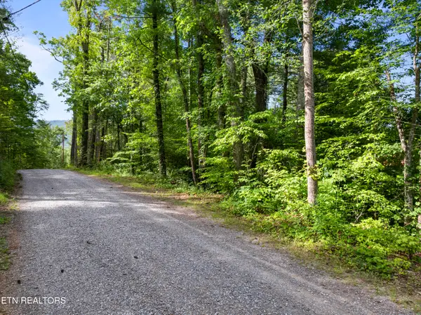 TBD Grouse Top (lot 3) Rd, Walland, TN 37886