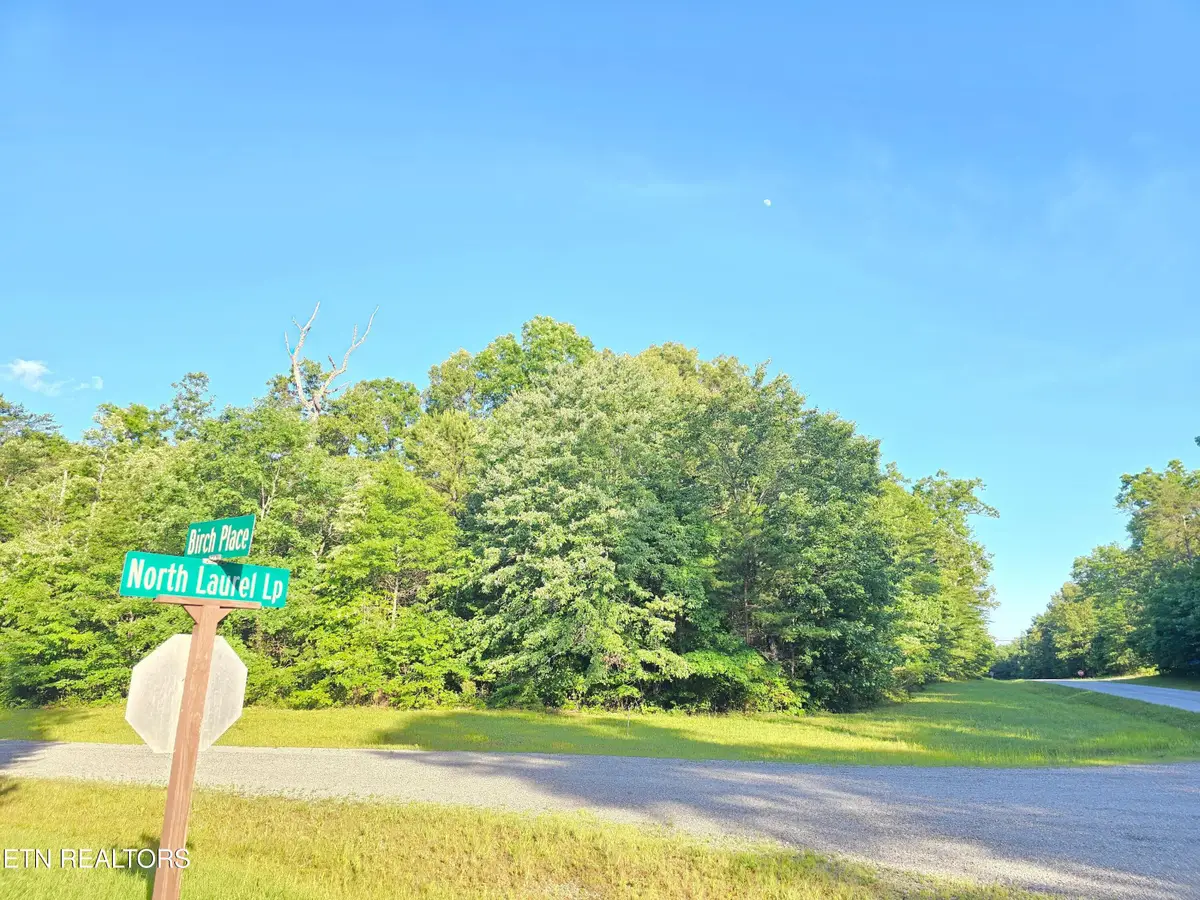 0 N Laurel Loop, Monterey, TN 38574 - #1