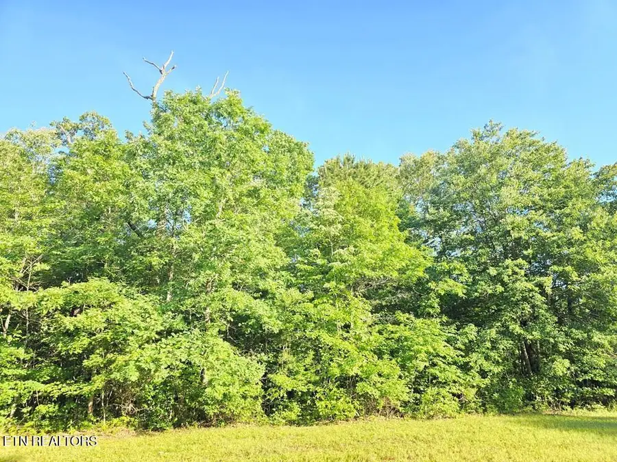 0 N Laurel Loop, Monterey, TN 38574 - #2