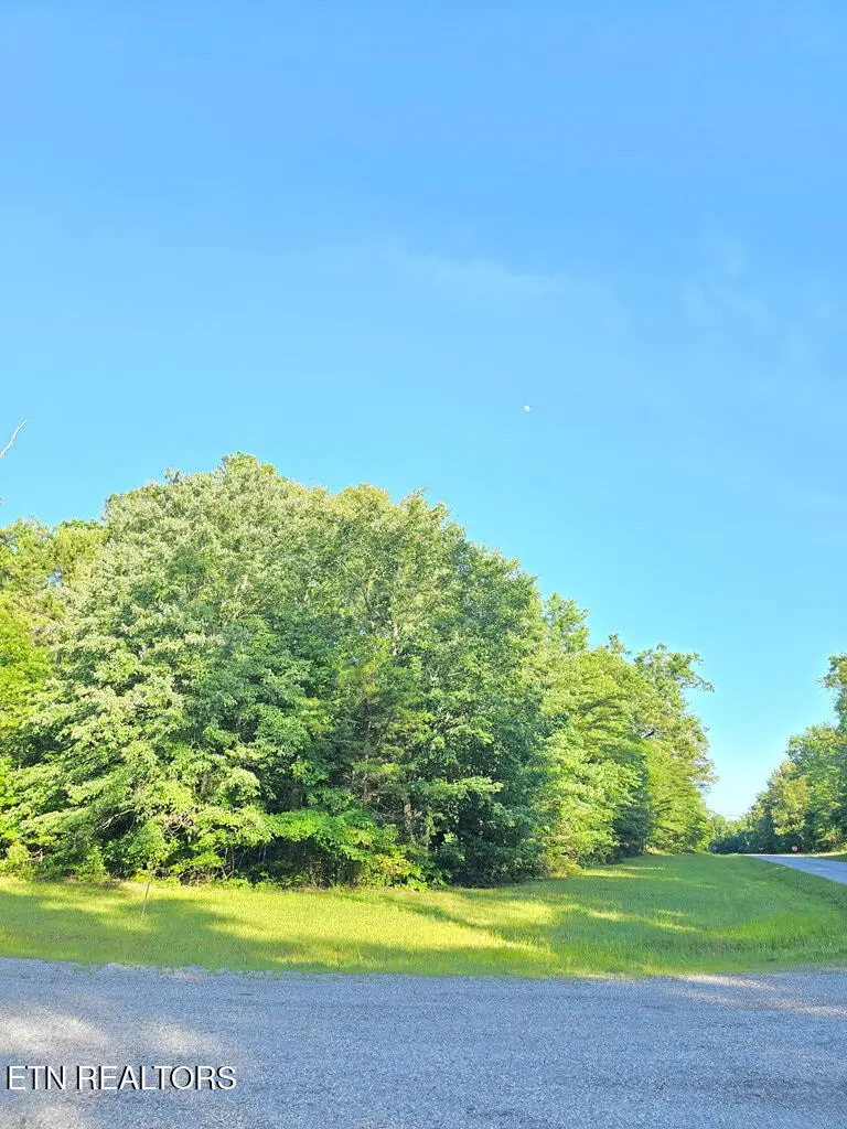 0 N Laurel Loop, Monterey, TN 38574 - #3