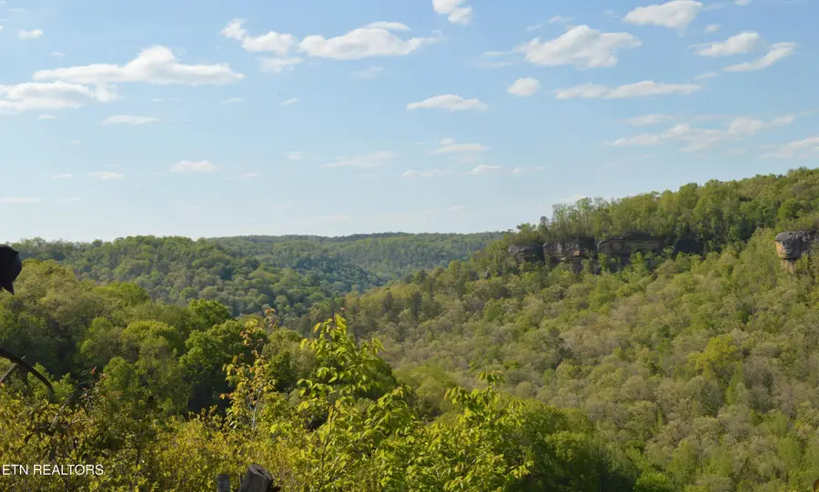 1501 Rob Watson Rd, Oneida, TN 37841 - #3
