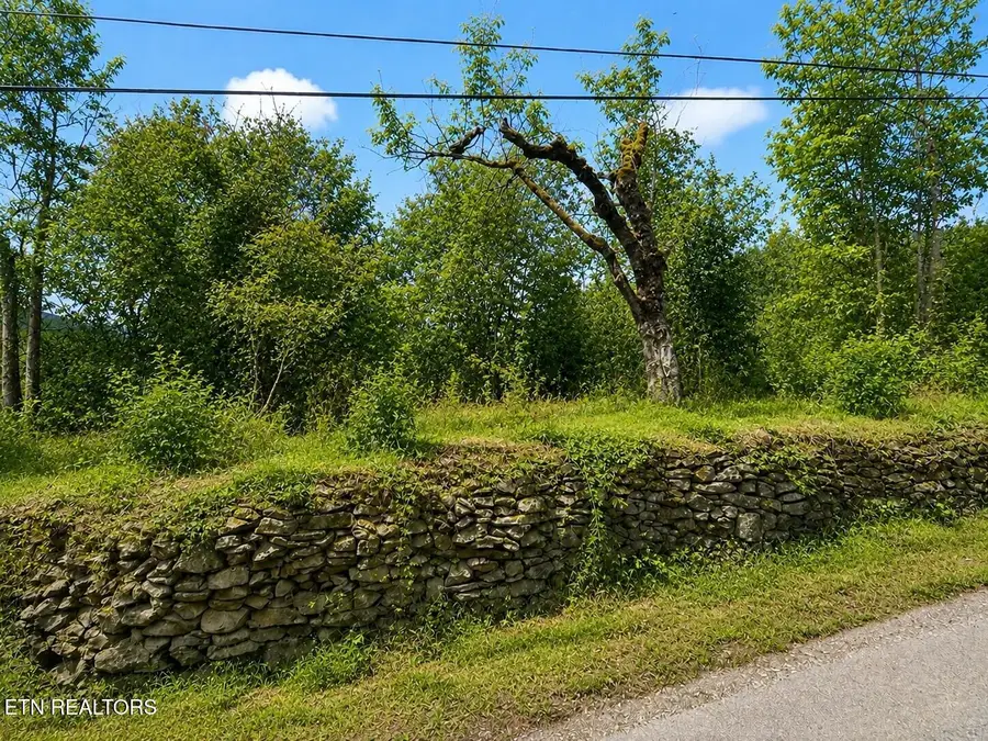 213 Duncan Rd, Briceville, TN 37710 - #2