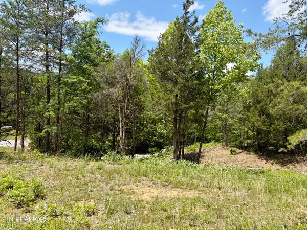 Burchfiel Way, Sevierville, TN 37876