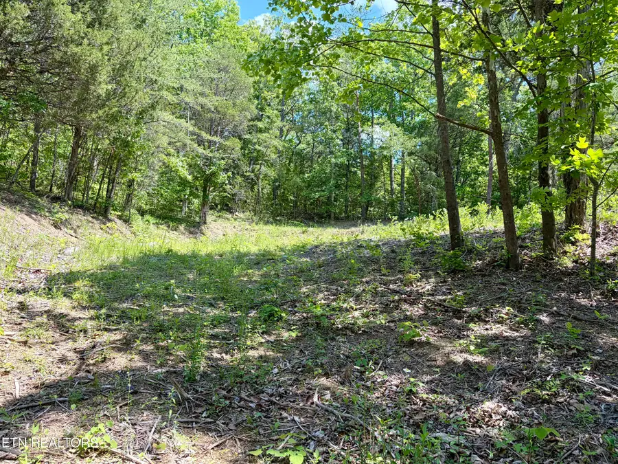 Burchfiel Way, Sevierville, TN 37876 - #2