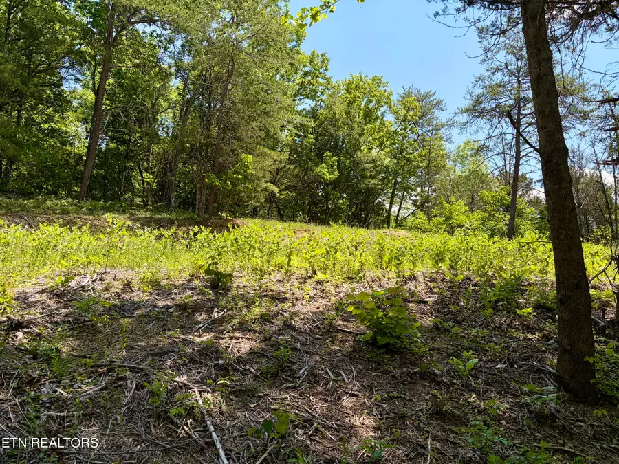 Burchfiel Way, Sevierville, TN 37876 - #3