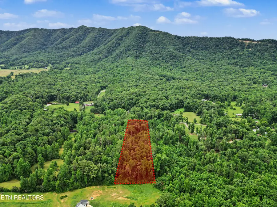 1006 Dry Valley Rd, Townsend, TN 37882 - #3