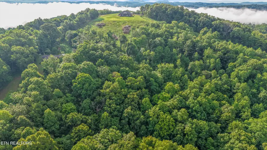 Graves Hollow Rd #Lot 1, Maynardville, TN 37807 - #3