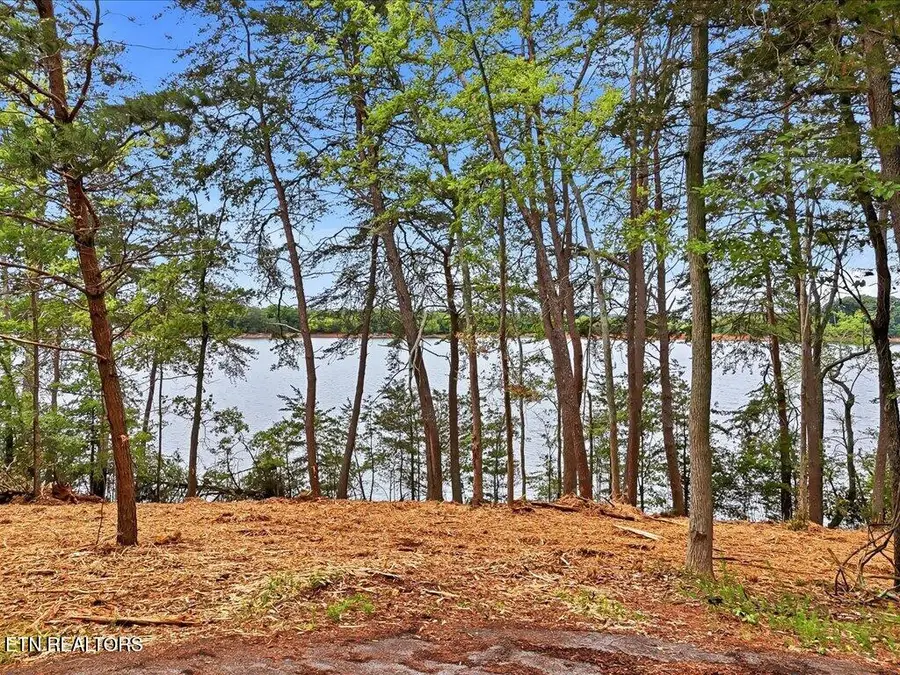 1716 Taskigi Court, Mooresburg, TN 37811 - #3