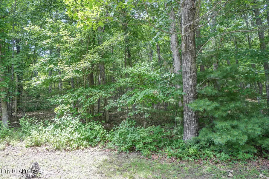 S Peterson Rd, Tallassee, TN 37878 - #2