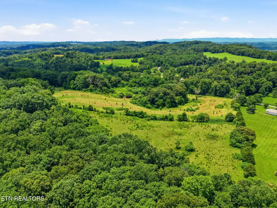 Old Tazewell Off Pike, Corryton, TN 37721 - #3