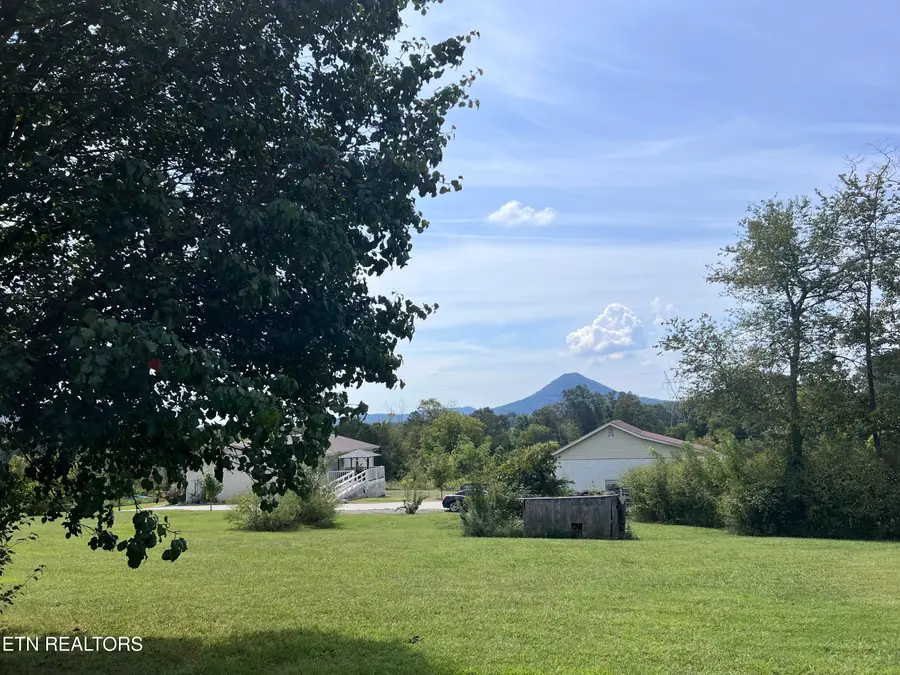 10728 Mountain Rd, Luttrell, TN 37779 - #3