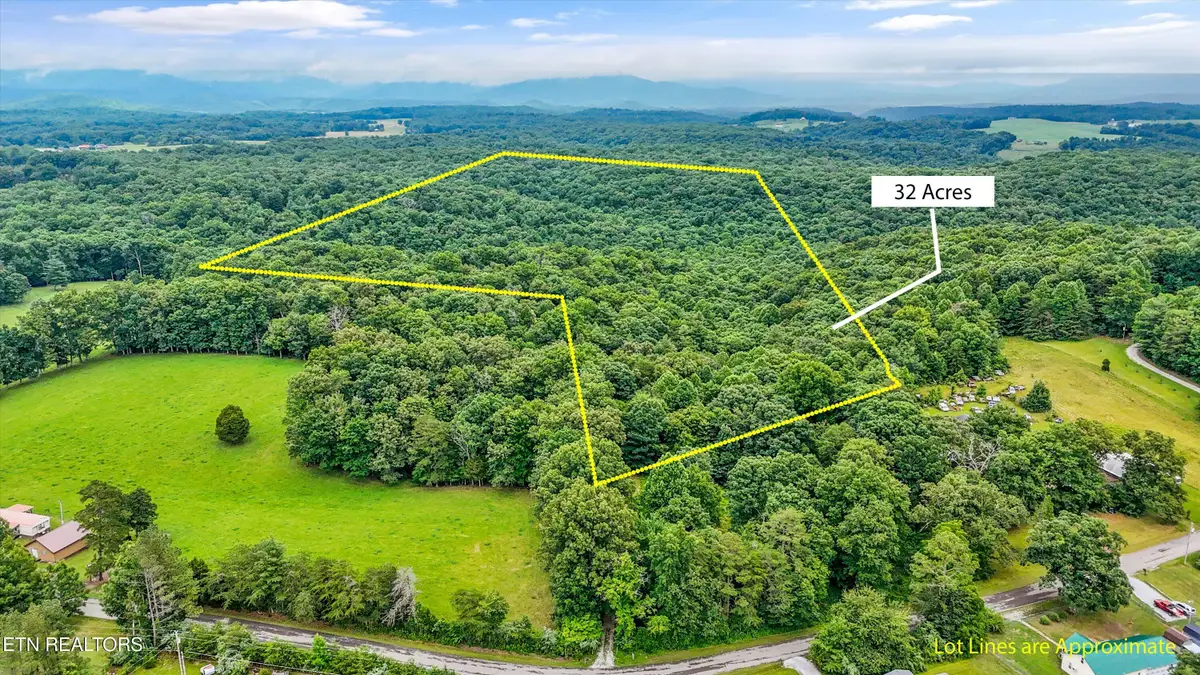 146 Harkle Rd, Lancing, TN 37770 - #1
