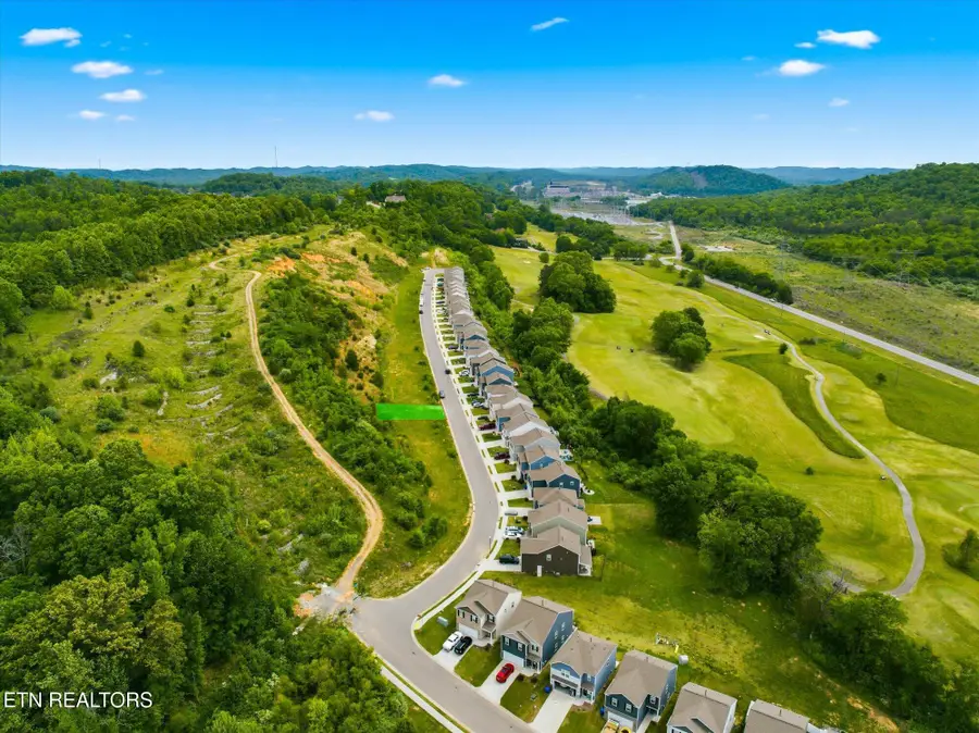 113 Harbour Pointe Lane, Oak Ridge, TN 37830 - #3