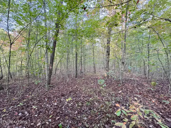 Lot 7 Crest View Drive, Sunbright, TN 37872