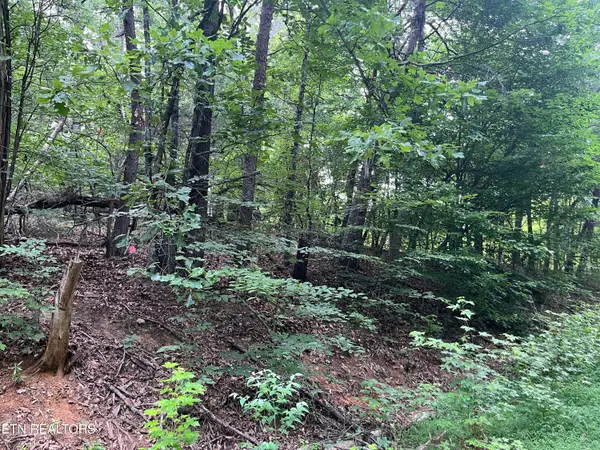 3278 Hillside Rd, White Pine, TN 37890