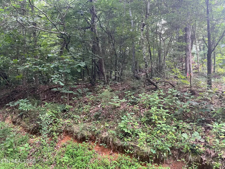 3278 Hillside Rd, White Pine, TN 37890 - #2