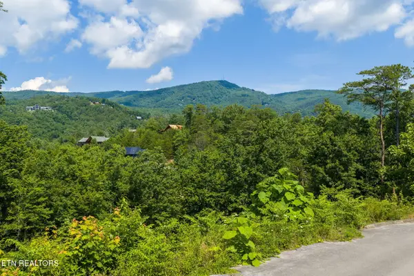 Lot 40 Laughing Pine Lane, Sevierville, TN 37862