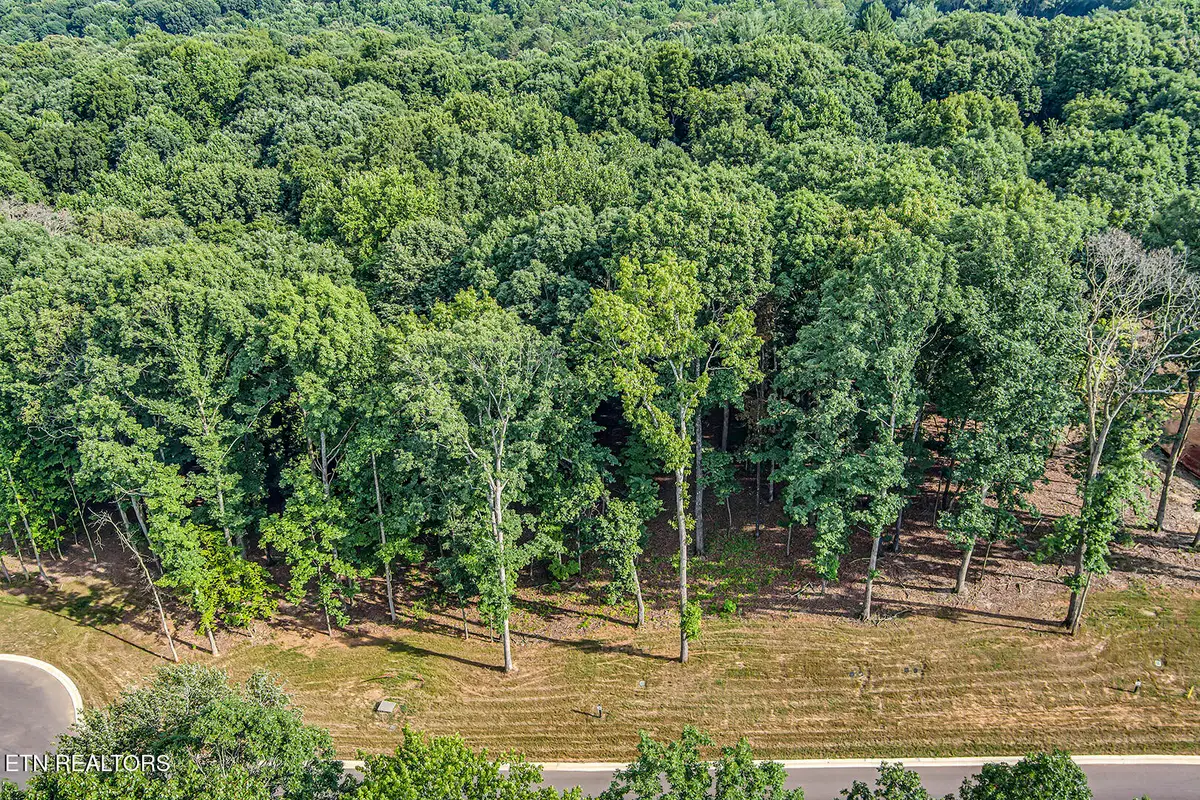 326 Flip Flop Way, Loudon, TN 37774 - #1