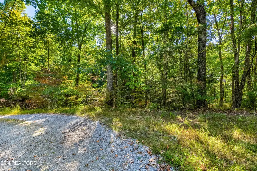 Lot 4 Deer Ridge Lane, Sevierville, TN 37876 - #2