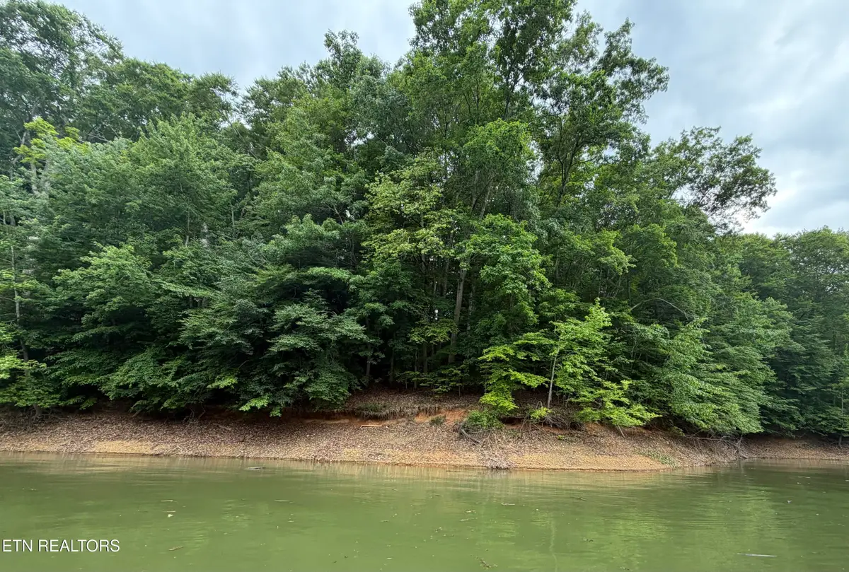 Old Chisholm Tr, Dandridge, TN 37725 - #1