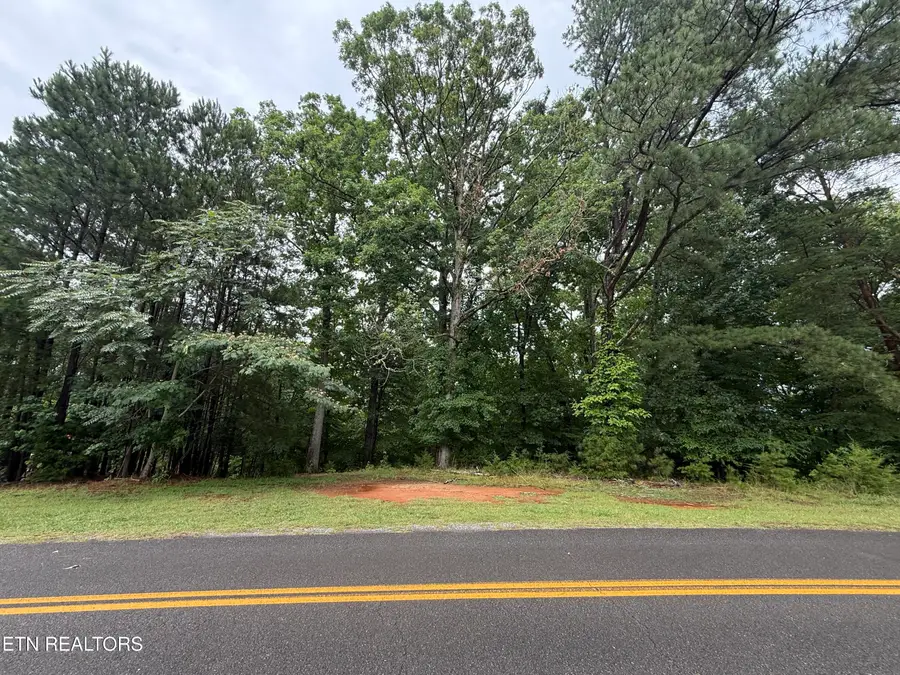 Old Chisholm Tr, Dandridge, TN 37725 - #2