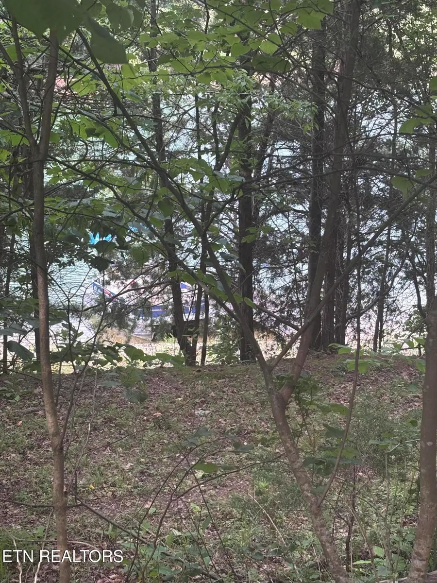 2327 Boat Dock Rd, Talbott, TN 37877 - #3